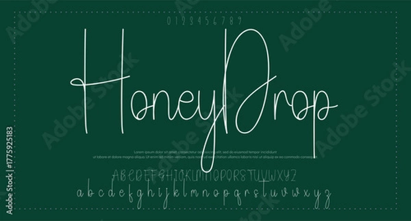 Fototapeta signature Font Calligraphy Logotype Script Brush Font Type Font lettering handwritten. vector illustration  