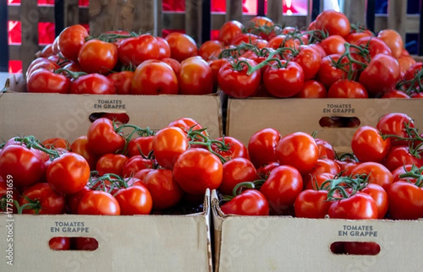 Obraz Boxes of red tomatoes are for sale at a food shop in Michigan USA