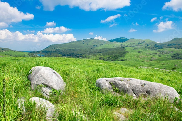 Fototapeta 平尾台（三笠台）の眺望