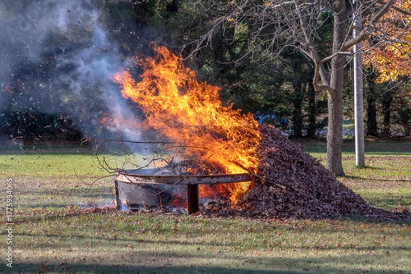 Obraz Burning fall leaves on a windy day  in autumn
