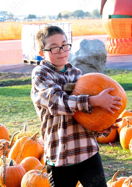 Obraz picking out pumpkins for halloween