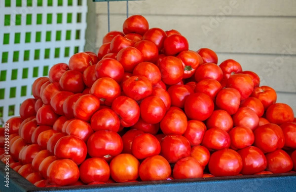 Obraz Pyramid of tomatoes is stacked for sale at a farm market 