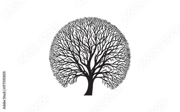 Fototapeta Elegant Tree of Life Vector Set – Nature Growth Roots Symbol Illustration Design