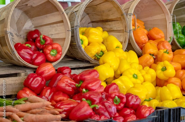 Fototapeta Red, yellow and orange pepper in a market, spill out of baskets to create a tempting display of veggies