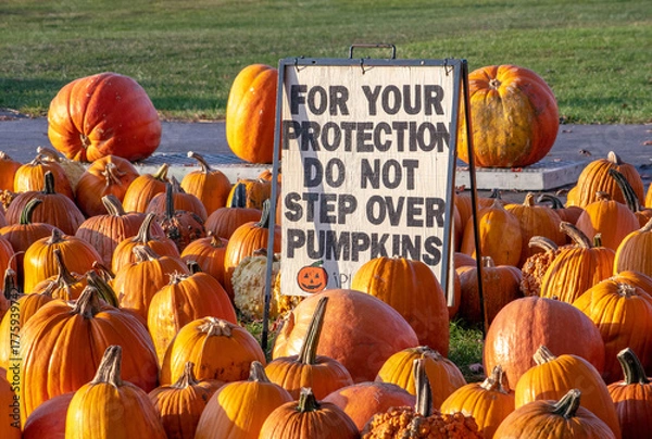 Obraz Warning sign at the pumpkin patch reminds people to be careful and safe
