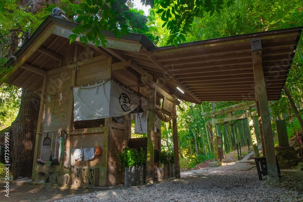 Fototapeta 神龍八大龍王神社