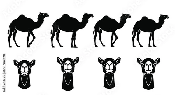 Fototapeta Camel silhouette vector set desert animal illustration graphic art