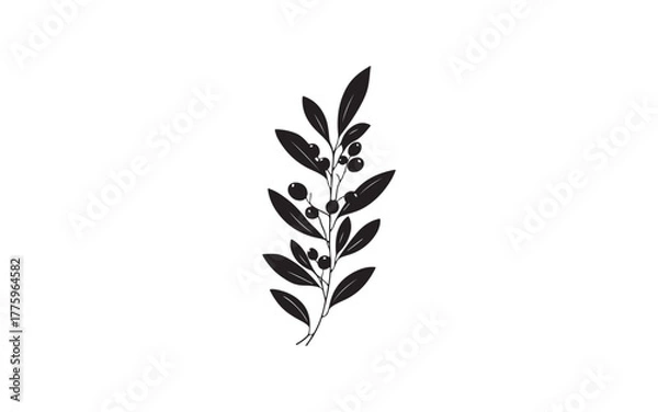 Fototapeta Botanical Leaf Branch Silhouette Illustration for Nature and Design Art