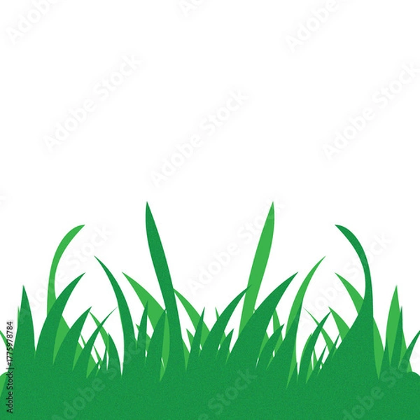 Obraz green grass on white background