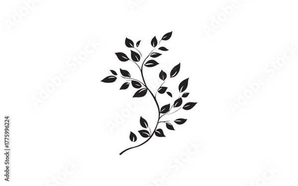 Fototapeta Botanical Leaf Branch Silhouette Illustration for Nature and Design Art