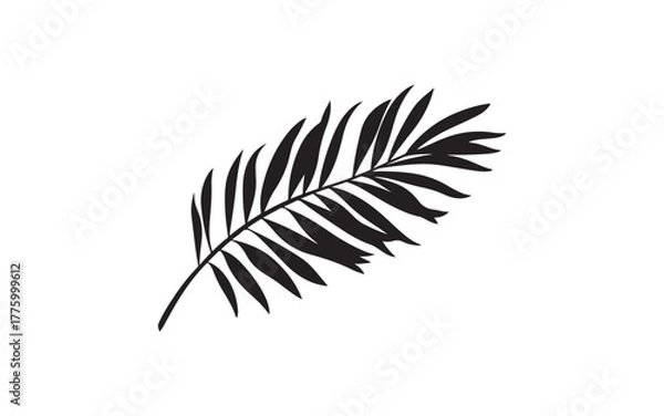 Fototapeta Palm Leaf Silhouette Vector – Tropical Botanical Nature Illustration Design