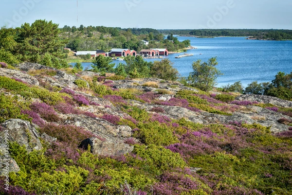 Fototapeta Distant red boathouses in Finland archipelago Brändö island.