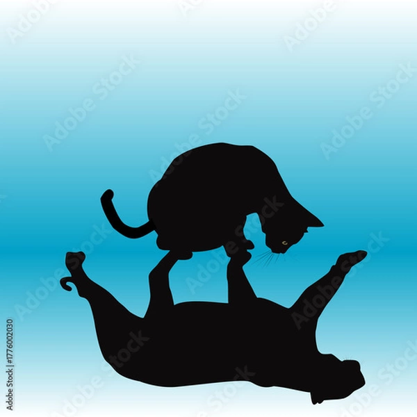 Obraz Black cat looking at its reflection and seeing a black panther