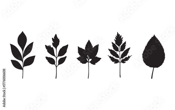 Fototapeta set of autumn leaves