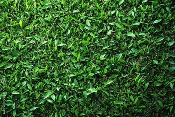Fototapeta Fresh green grass texture background with natural leaf pattern and organic outdoor surface, generative ai
