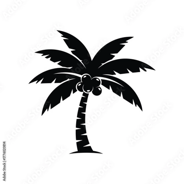 Fototapeta Black silhouette of a palm tree with coconuts
