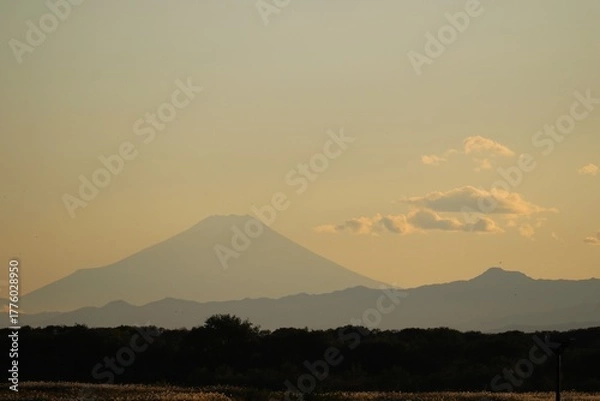 Obraz 秋の渡良瀬から見える夕もやの富士山