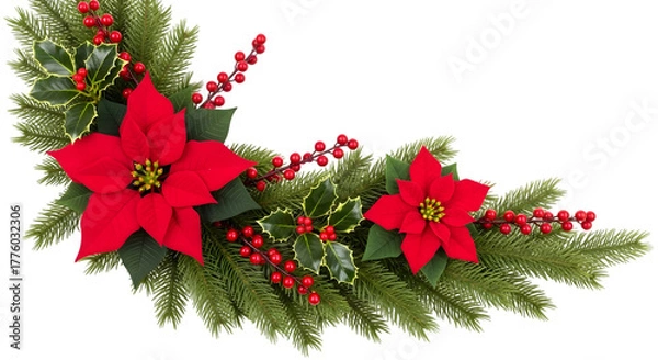 Obraz Christmas poinsettia and holly garland with red berries and green fir branches, isolated on transparent background