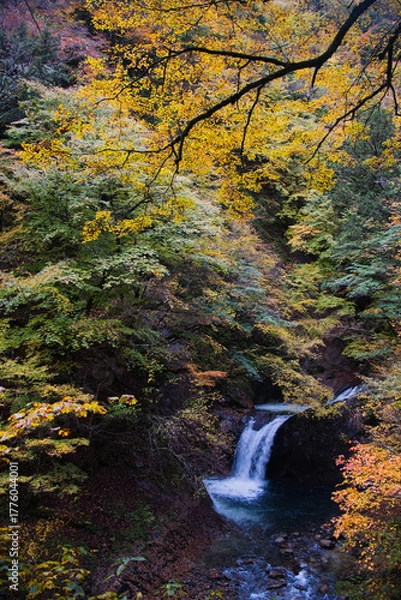 Obraz 山梨県の西沢渓谷の紅葉