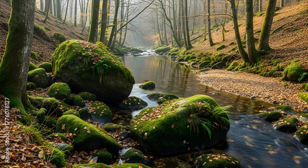 Fototapeta Serene Autumnal Forest Stream with Moss-Covered Rocks and Misty Atmosphere