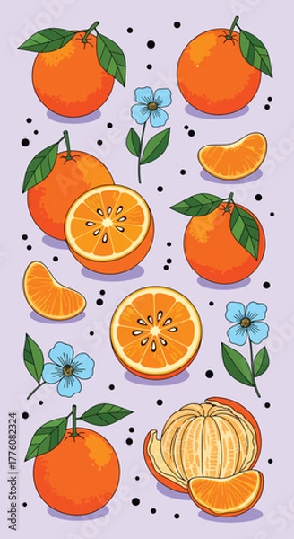 Fototapeta Fresh oranges and blue flowers arranged on a light purple background pattern art.