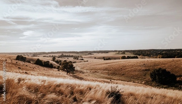 Fototapeta Wide open rural landscape featuring tall golden grasses and scattered trees under a pale sky. Neutral earthy palette with warm beige and brown hues, evoking a minimalist fall mood.