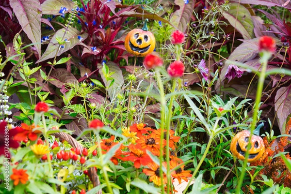 Obraz 横浜里山ガーデンの秋の花