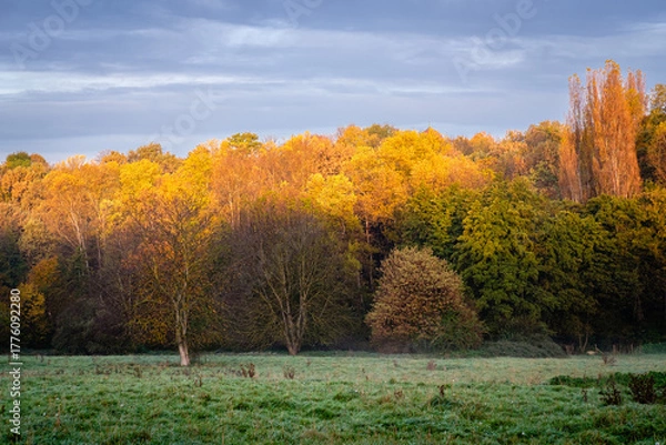 Obraz Paysage d'automne