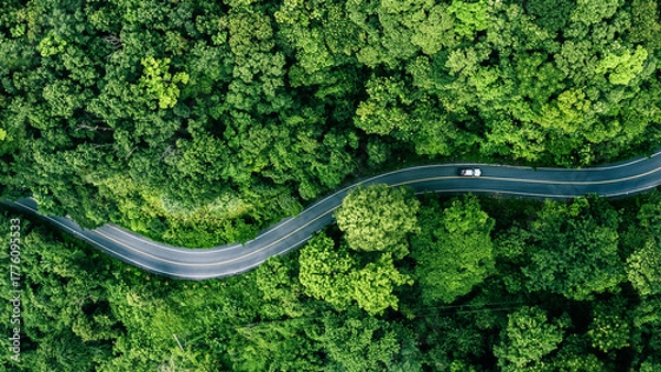 Fototapeta Road in the middle of the forest , road curve construction up to mountain, Rainforest ecosystem and healthy environment concept