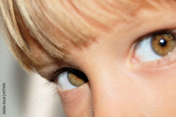Fototapeta eyes of a child