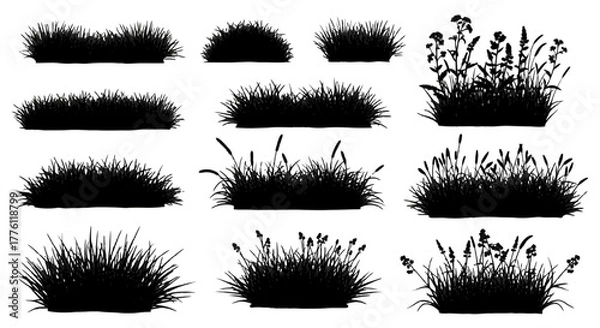Fototapeta A collection of grass tuft silhouettes in various shapes and sizes, ideal for adding natural.