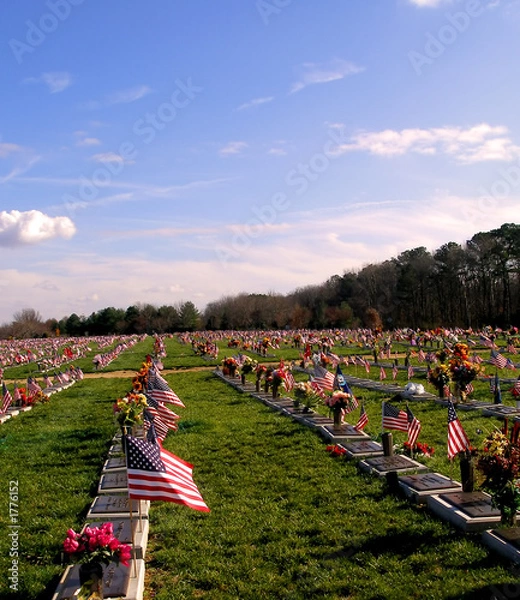 Obraz veterans' cemetary