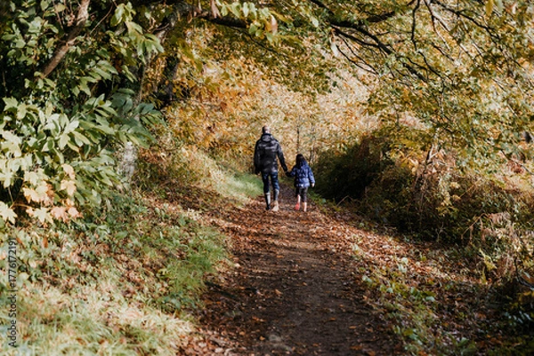 Obraz walking in the forest