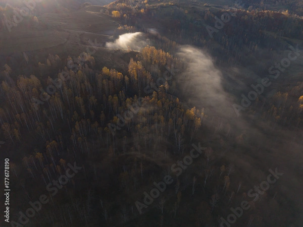 Obraz Aerial view from November. Autumn scenery of a forest from Apuseni Mountain, Romania.