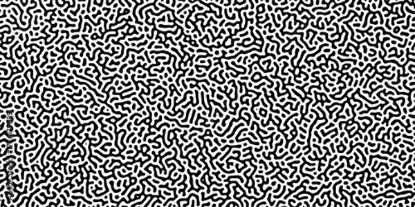 Obraz Abstract Reaction-diffusion Turing pattern natural texture gray gradient color scheme. Linear design with biological algorithm psychedelic background. Reaction-diffusion or truing patter	