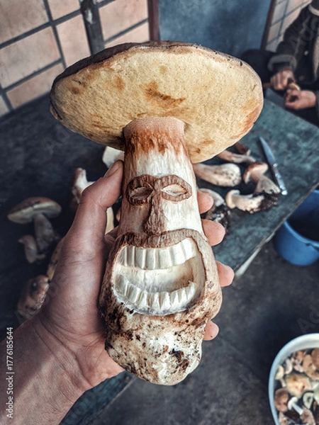 Fototapeta Funny portrait of a laughing porcini mushroom with a carved face, held in human hand. Creative and humorous concept combining nature and art. Perfect for blogs, cooking content, forest themes