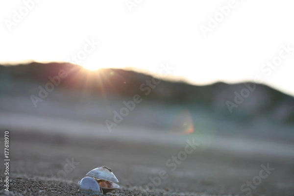 Obraz Sunset with Shell