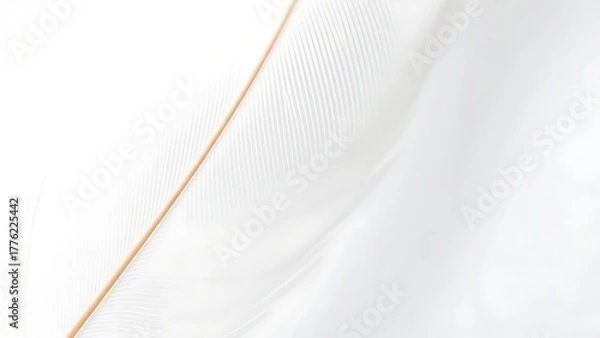 Obraz Close-up of a delicate white feather showcasing intricate texture against a pristine white backdrop.