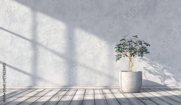 Fototapeta A potted plant casts shadows on a textured wall with a wooden floor.