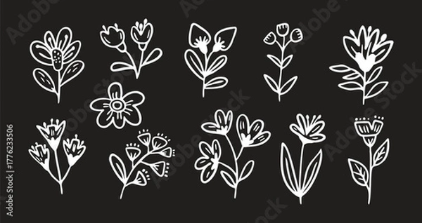 Fototapeta Collection of Hand-Drawn Line Art Flowers