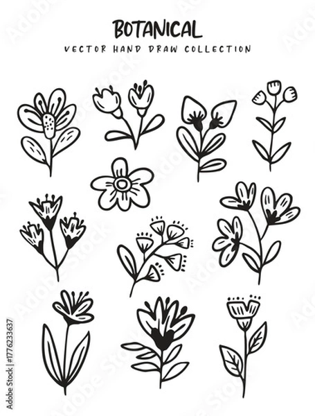 Fototapeta Collection of Hand-Drawn Line Art Flowers