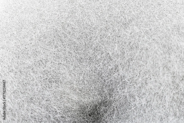 Obraz Close up  backgroud mold structure inside a preservation can.