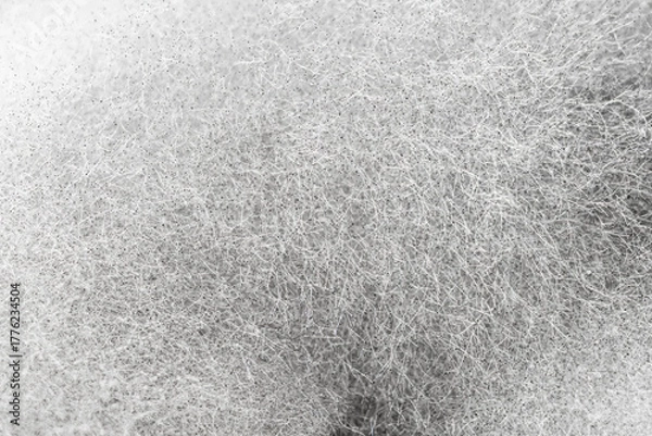 Obraz Close up  backgroud mold structure inside a preservation can.