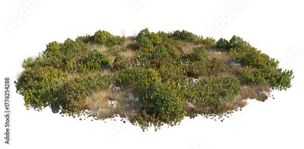 Obraz Yellow grass and shrubs cutout isolated png on a transparent background premium nature cutout