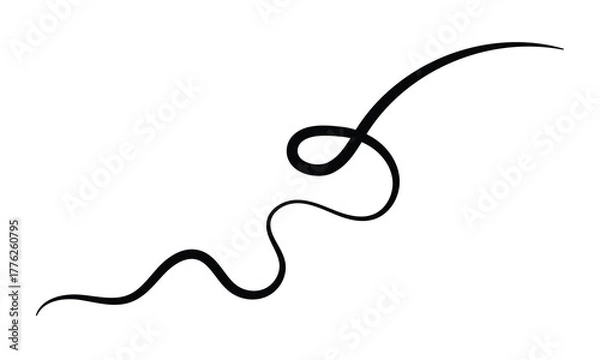 Fototapeta Curved calligraphic line strip, vector, ribbon like road element of calligraphy gracefully curved line .Vector illustration EPS 10 .