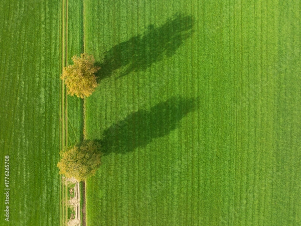 Obraz autumn colors in the netherlands