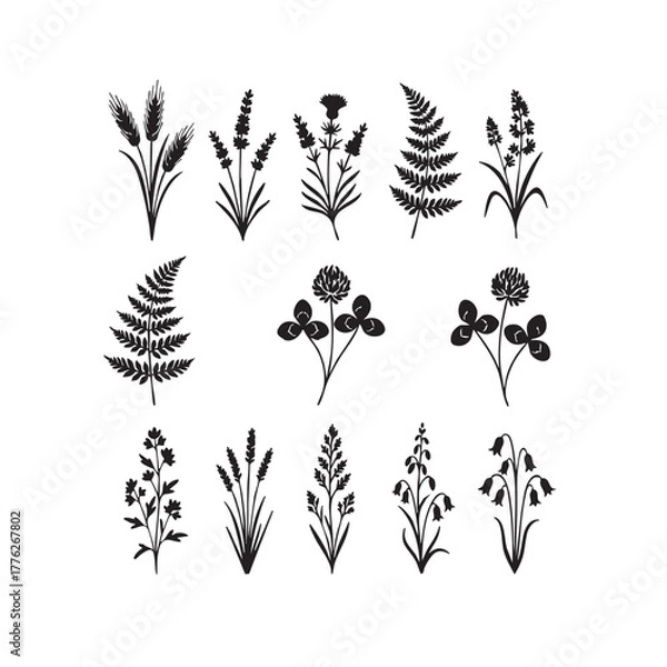 Fototapeta Black and white floral vector set with leaves wreaths and decorative elements