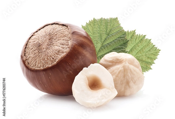 Obraz Hazelnuts with leaves on white background