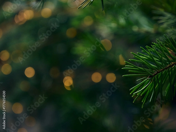 Fototapeta Green Christmas tree branch and yellow lights garlands blurred in bokeh