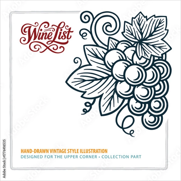Fototapeta Hand-drawn vintage grape cluster with detailed leaves and curls, designed for the corner layout. Elegant engraving-style grape illustration. Perfect for wine menu, label, or packaging. Part of set.